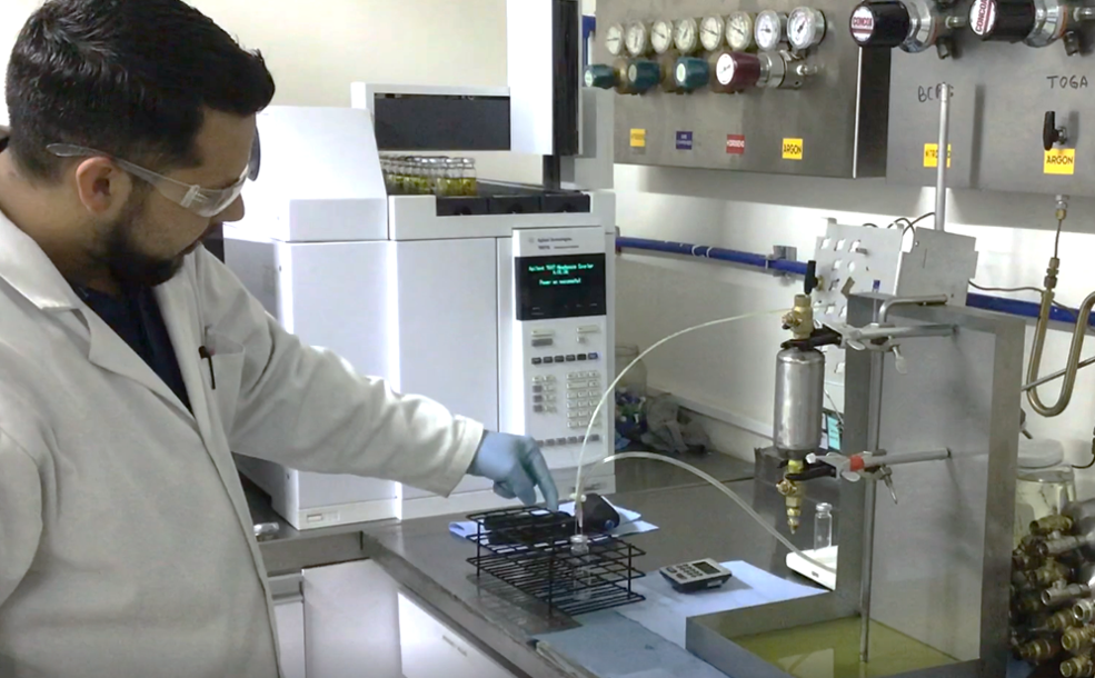 Cromatografía de Gases